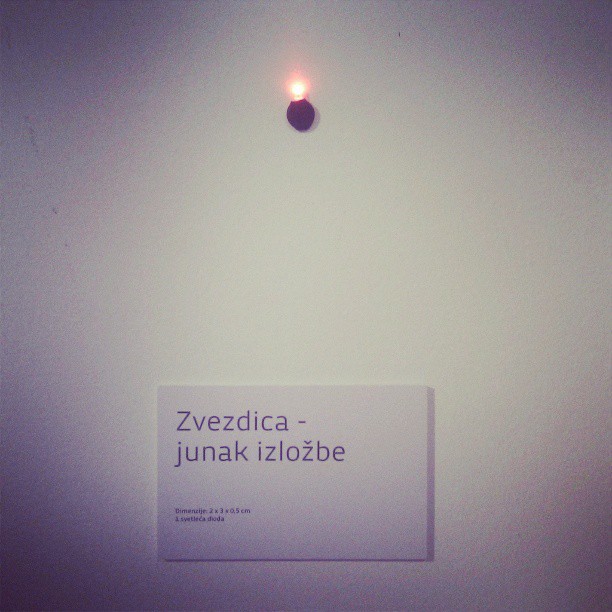 Zvezdica – junak izložbe (uslikao @vladopajic)